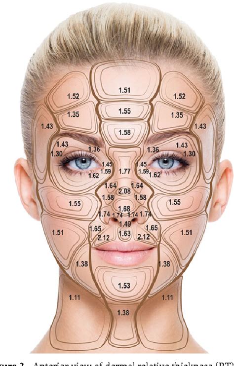 measure skin thickness from webcam|facial skin thickness chart.